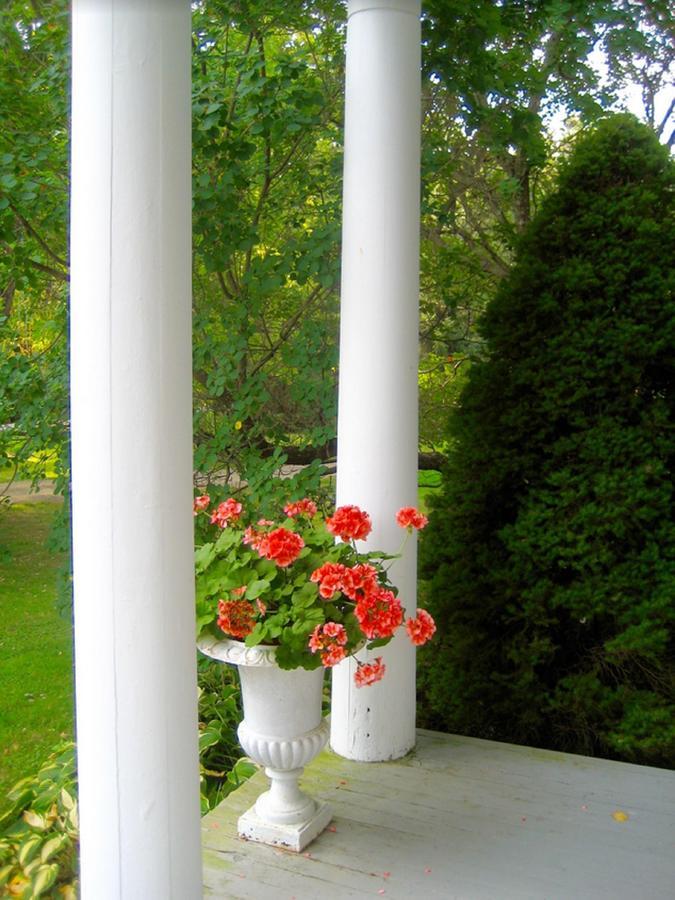 Millbrook Country House Dış mekan fotoğraf