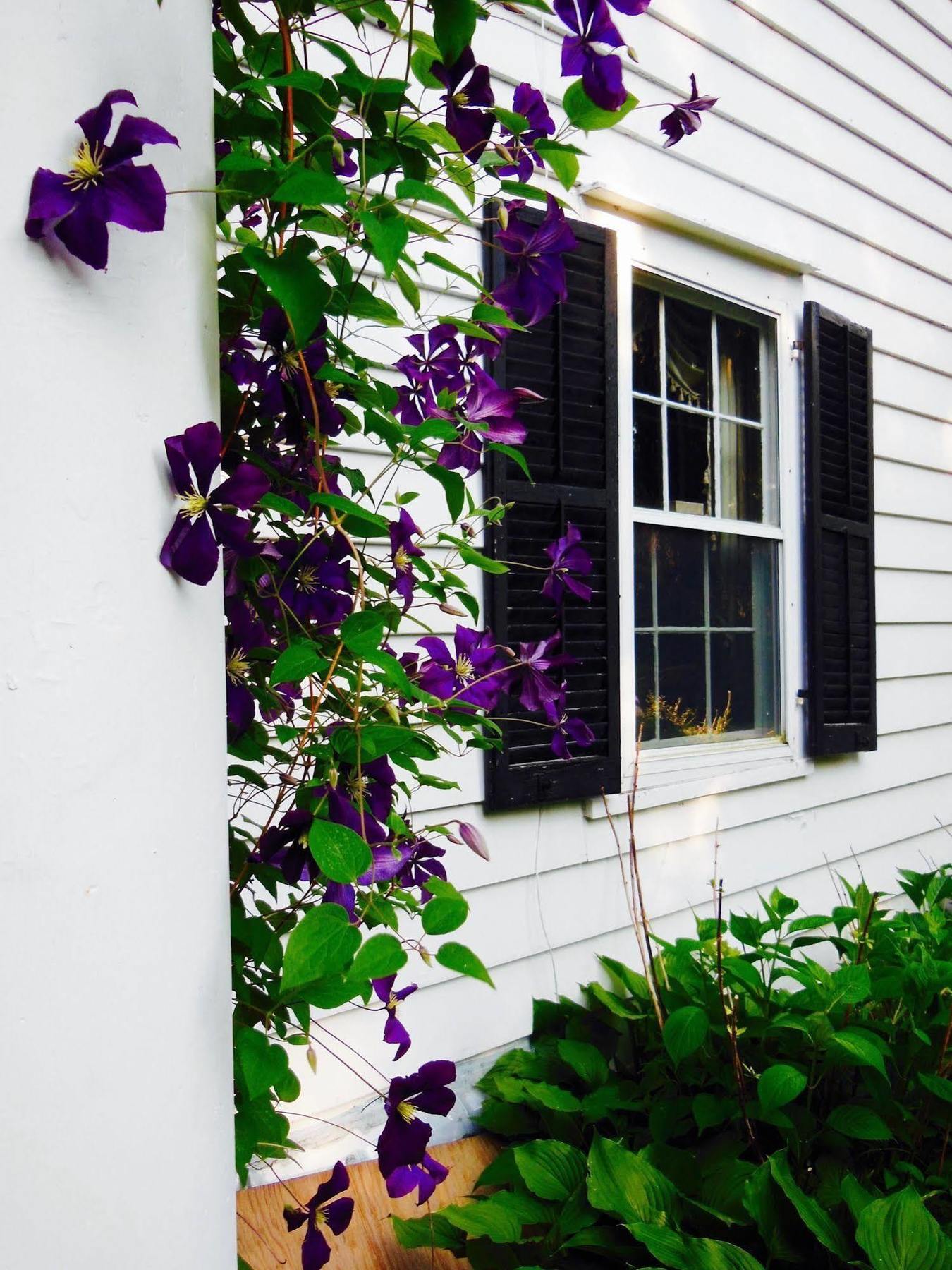 Millbrook Country House Dış mekan fotoğraf