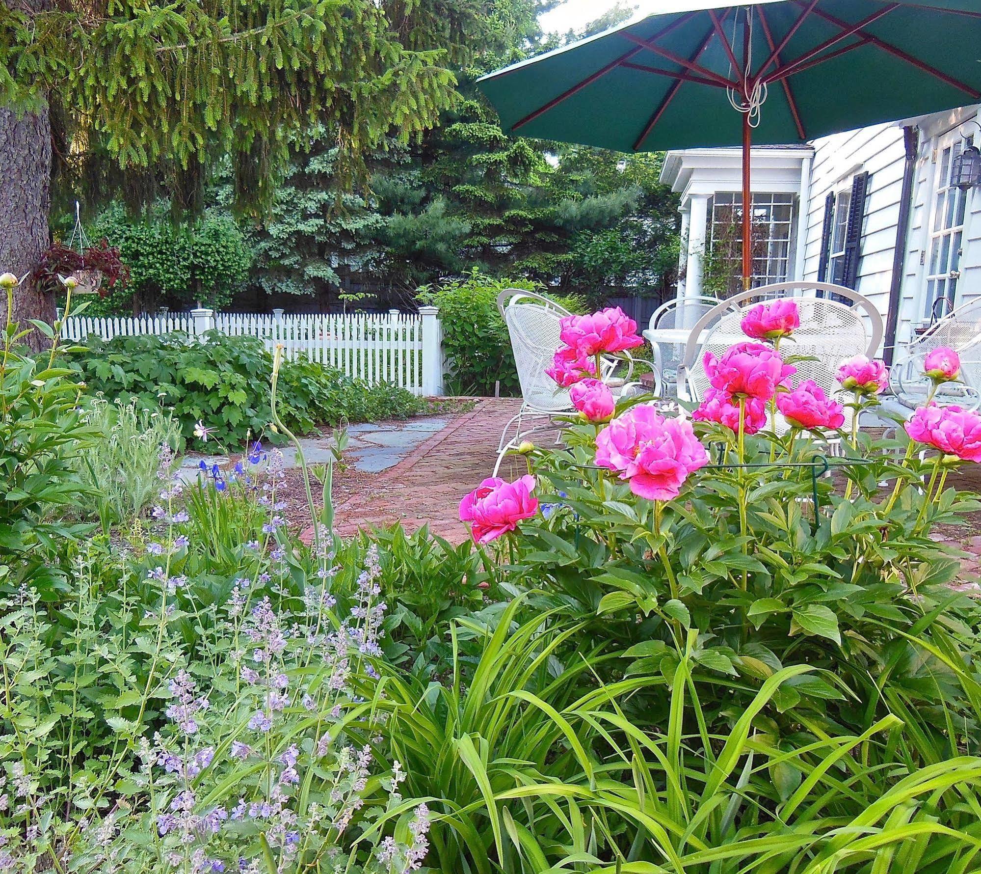 Millbrook Country House Dış mekan fotoğraf
