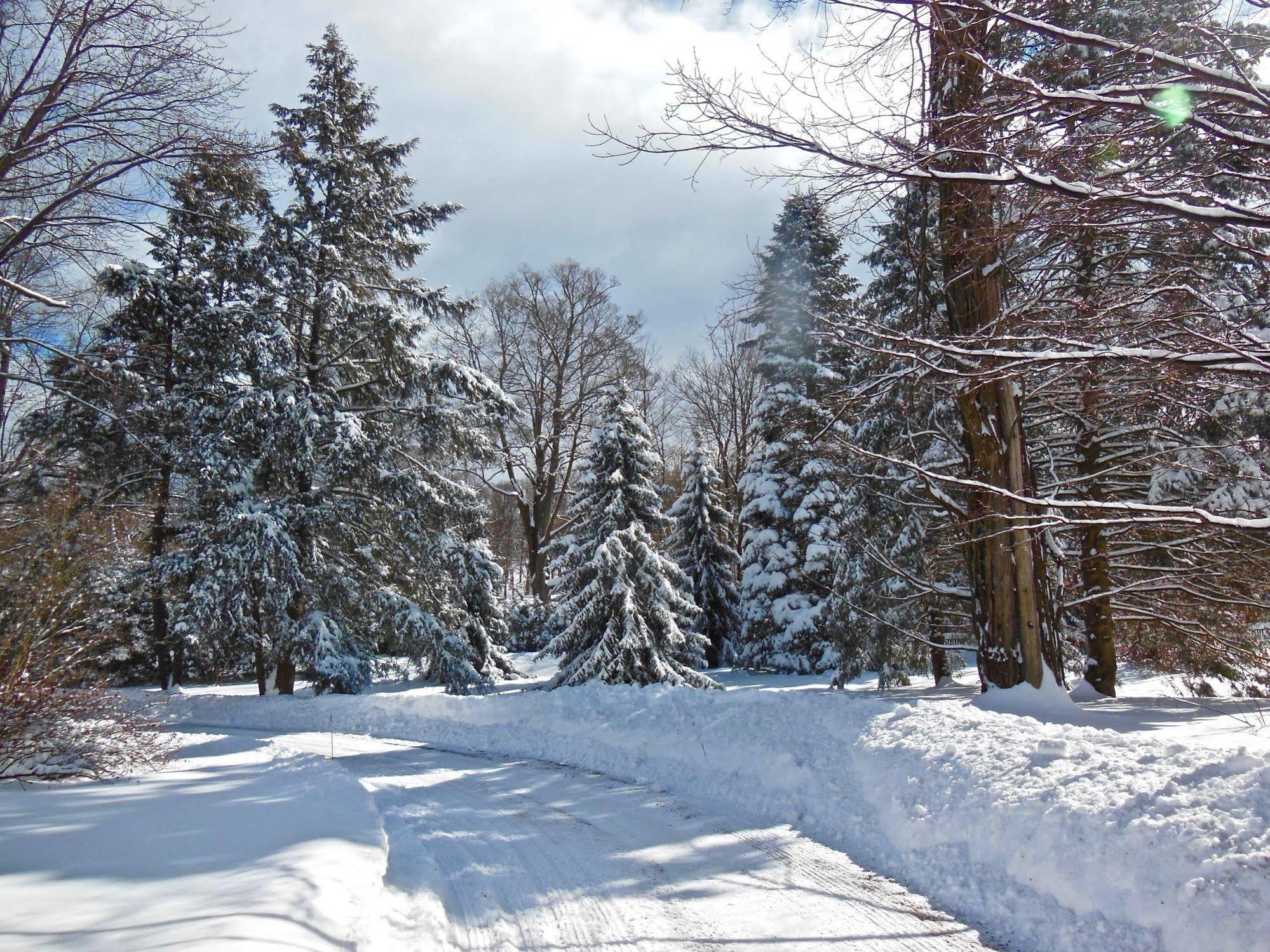 Millbrook Country House Dış mekan fotoğraf